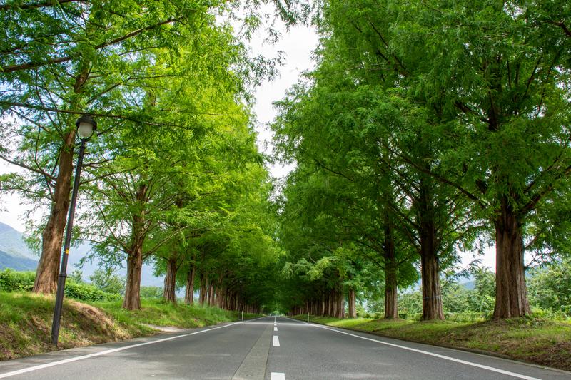 運用ログ（著者のリアル記録）